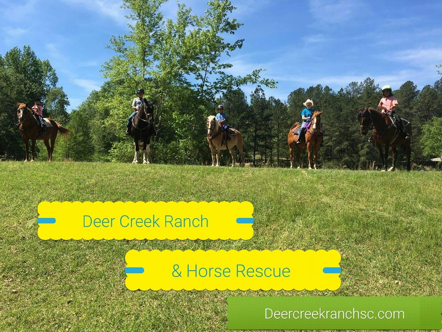 Deer Creek Ranch and Horse Rescue